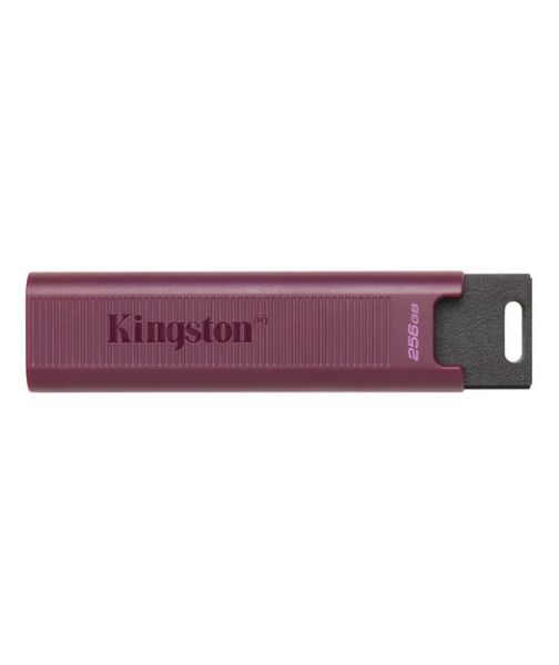 256GB DataTraveler Max Type-A 1000R/900W USB 3.2 Gen 2 resmi